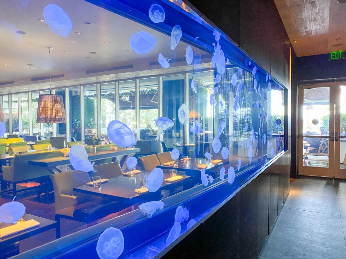 W Residences Fort Lauderdale Luxury Suites Across From Fort Lauderdale Beach Eksteriør billede